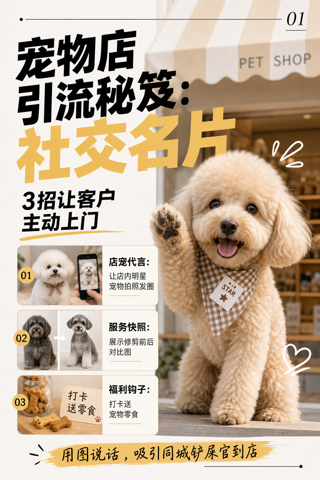 宠物店引流秘笈：社交名片
